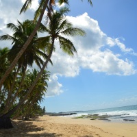De Ella a Tangalle: Días de playa en Sri Lanka
